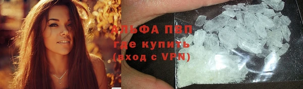 тгк Белокуриха