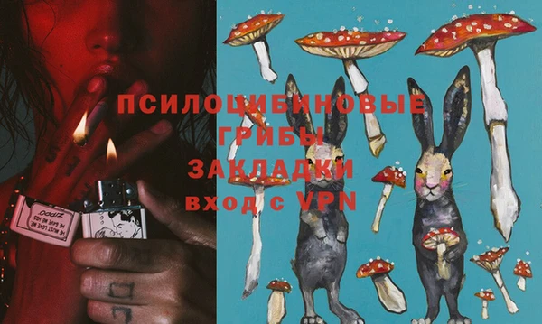 индика Баксан
