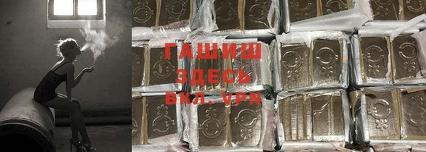 тгк Белокуриха