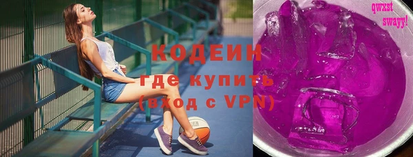 индика Баксан